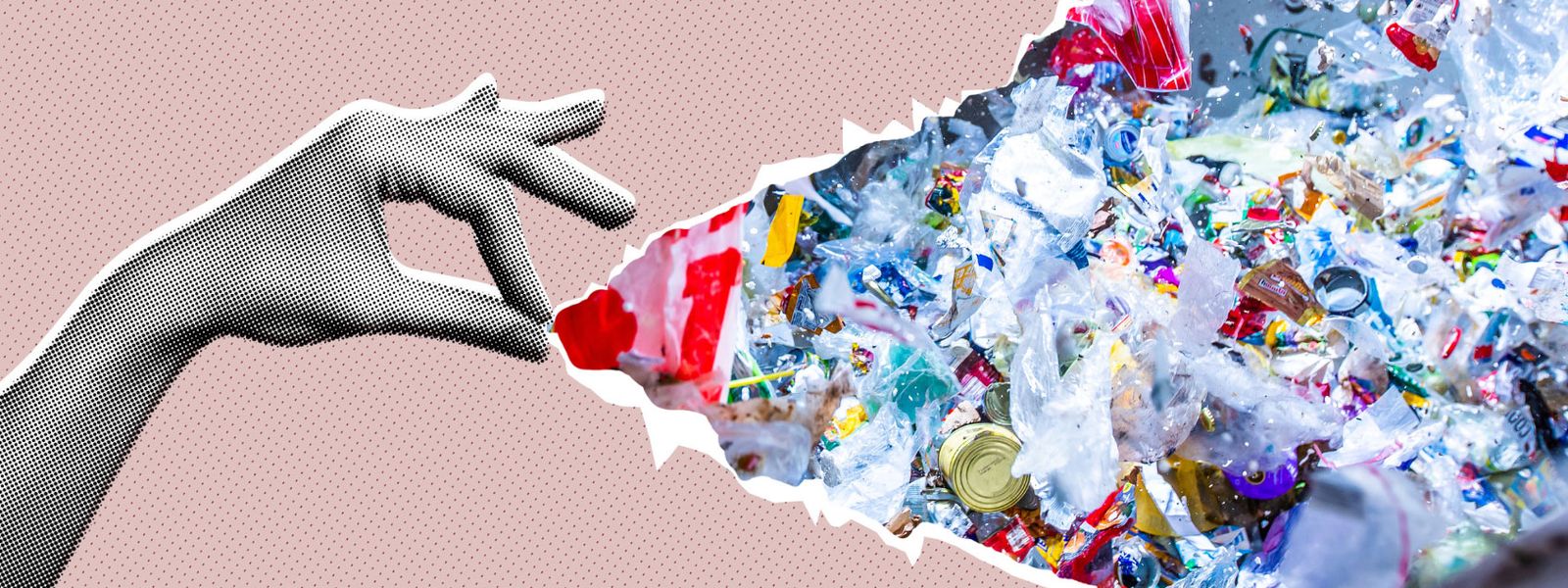 Wertstoffe im Fokus: LVP
