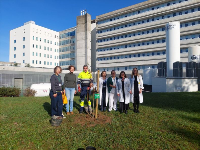 Plantação de árvores doadas pela PreZero ao Hospital de Braga