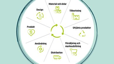 Tårtdiagramsillustration med ekodesignhjulets delar