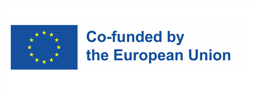 Co-funded by the European Union